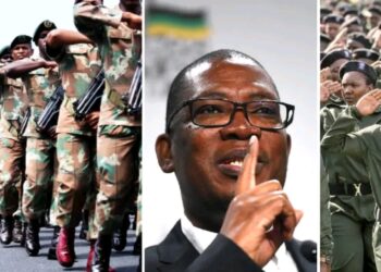 Gauteng Crime Prevention Wardens to Receive Training from SANDF in Battle Against Crime