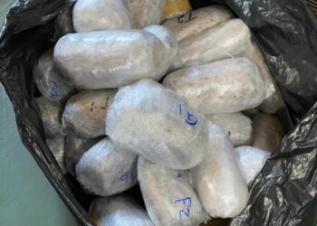 Three Arrested for Dealing in Dagga at South African Borders