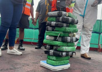 Hawks seize R15-million cocaine at Richards Bay Port