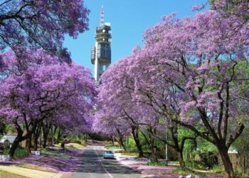 To Live and study in PTA