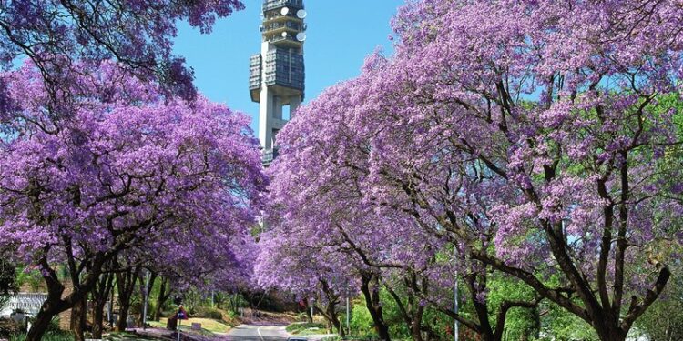 To Live and study in PTA