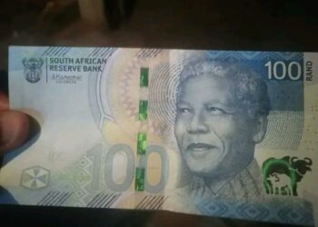 Elderly Struggle as SASSA Payments Fail