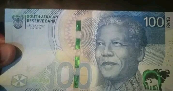 Elderly Struggle as SASSA Payments Fail