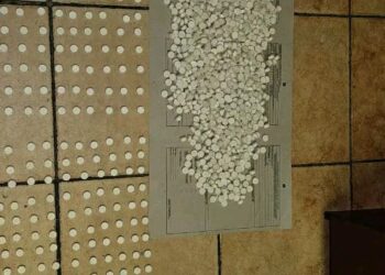 Tshwane Metro Police Drug Unit arrests drug dealer
