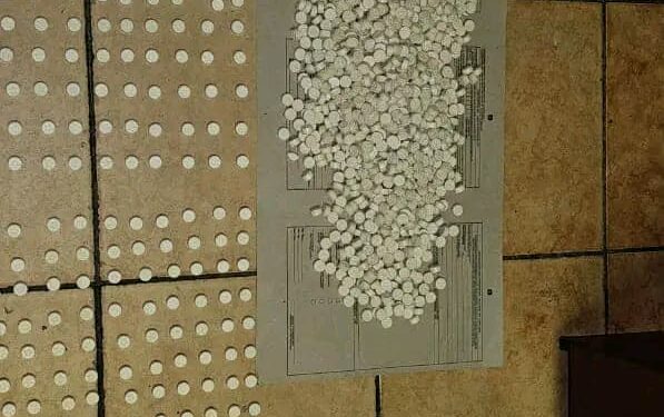 Tshwane Metro Police Drug Unit arrests drug dealer