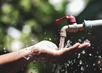 Cholera crisis grips Hammanskraal