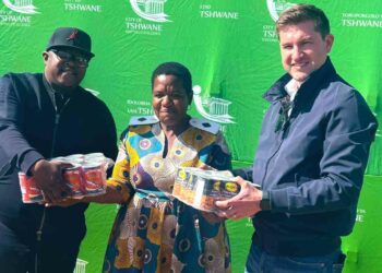 Tshwane Mayor, Cilliers Brink commemorates Mandela Day