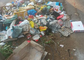 Salary Dispute’s Impact on Tshwane: Trash and Unhappy Residents