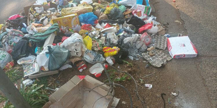 Salary Dispute’s Impact on Tshwane: Trash and Unhappy Residents