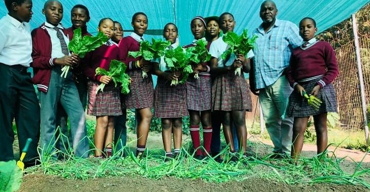 WILDTRUST Initiative: Promoting Sustainable Living and Food Security in Schools