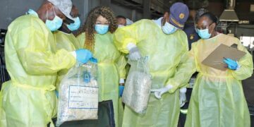 SAPS Under General Masemola Destroys R90 Million in Drugs, Pledges Safety Commitment