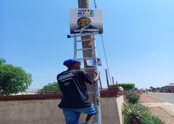 Rise Mzansi: Gauteng’s Unexpected Political Phenomenon Sparks Public Interest