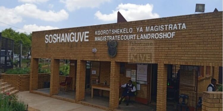 Moja Love presenter and a director of Tshenolo private company granted bail