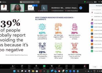 Shirley Govender Shares Solutions Journalism Insights at Workshop