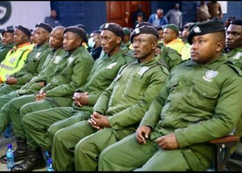 Premier Lesufi Denies Expiration of Green Army Contracts