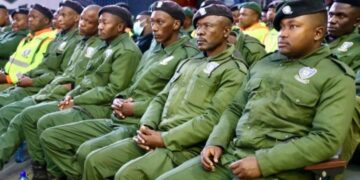 Premier Lesufi Denies Expiration of Green Army Contracts
