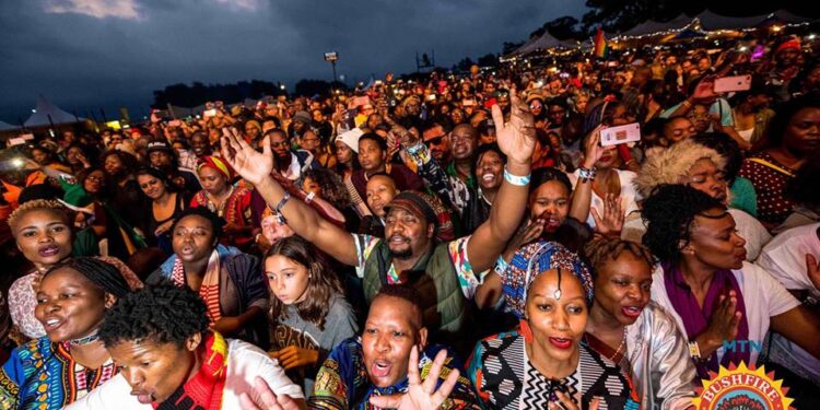 PLAN YOUR JOURNEY TO MTN BUSHFIRE 2025!