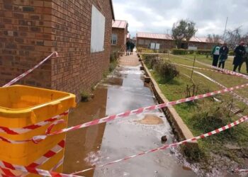 BACHANA MOKWENA PRIMARY SCHOOL FACES ONGOING SAFETY AND HEALTH RISKS DUE TO WETLANDS