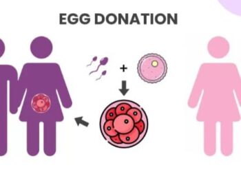 UNEMPLOYED YOUNG WOMEN IN SOUTH AFRICA TURN TO EGG DONATION AS FINANCIAL LIFELINE