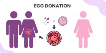 UNEMPLOYED YOUNG WOMEN IN SOUTH AFRICA TURN TO EGG DONATION AS FINANCIAL LIFELINE