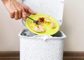 South Africa Counts the Cost of Food Waste