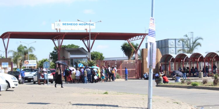 Limpopo’s Rural Health Crisis: Misinformation, Shortages and Fading Trust