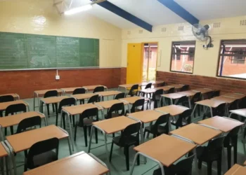 Eastern Cape’s school closure plan: 123 schools to shut, 300 more targeted