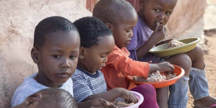 South Africa’s child nutrition crisis puts early childhood at risk